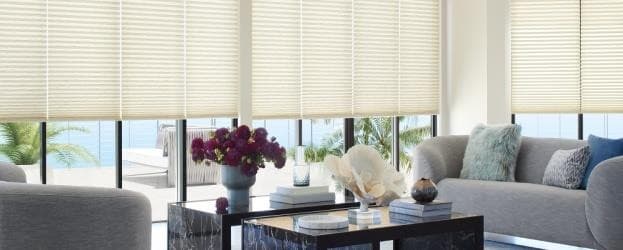 Honeycomb (Duette) Blinds
